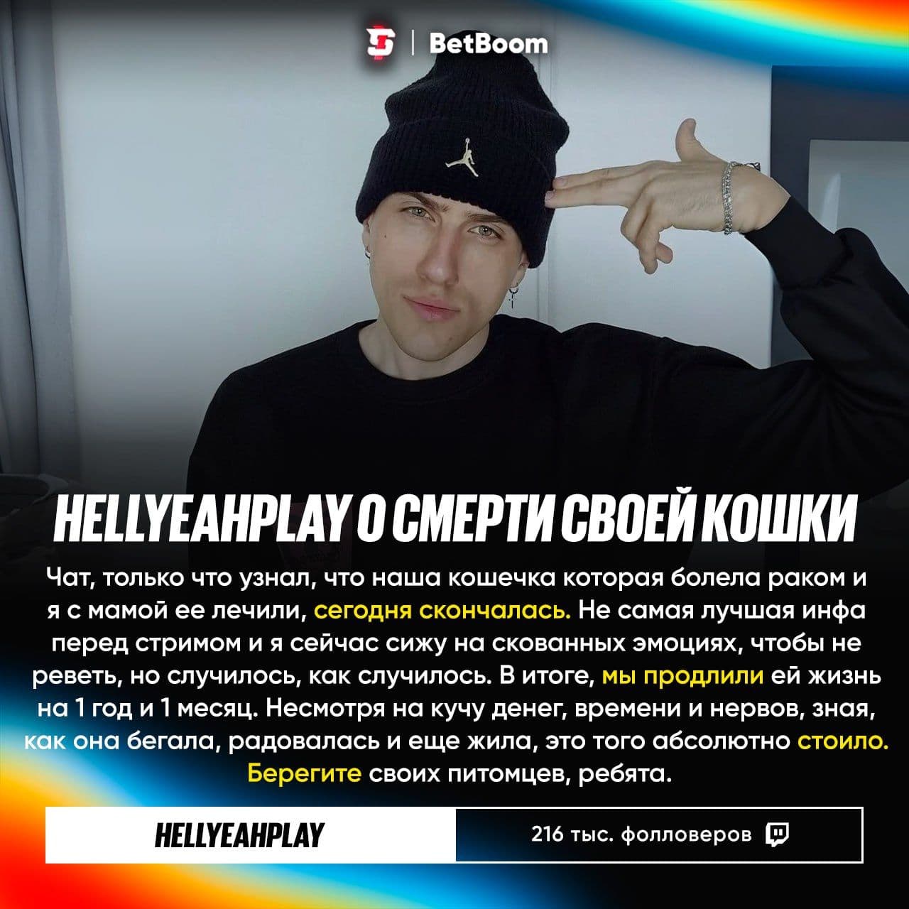 Стример HellYeahPlay сообщил о смерти своей кошки после долгой борьбы с болезнью