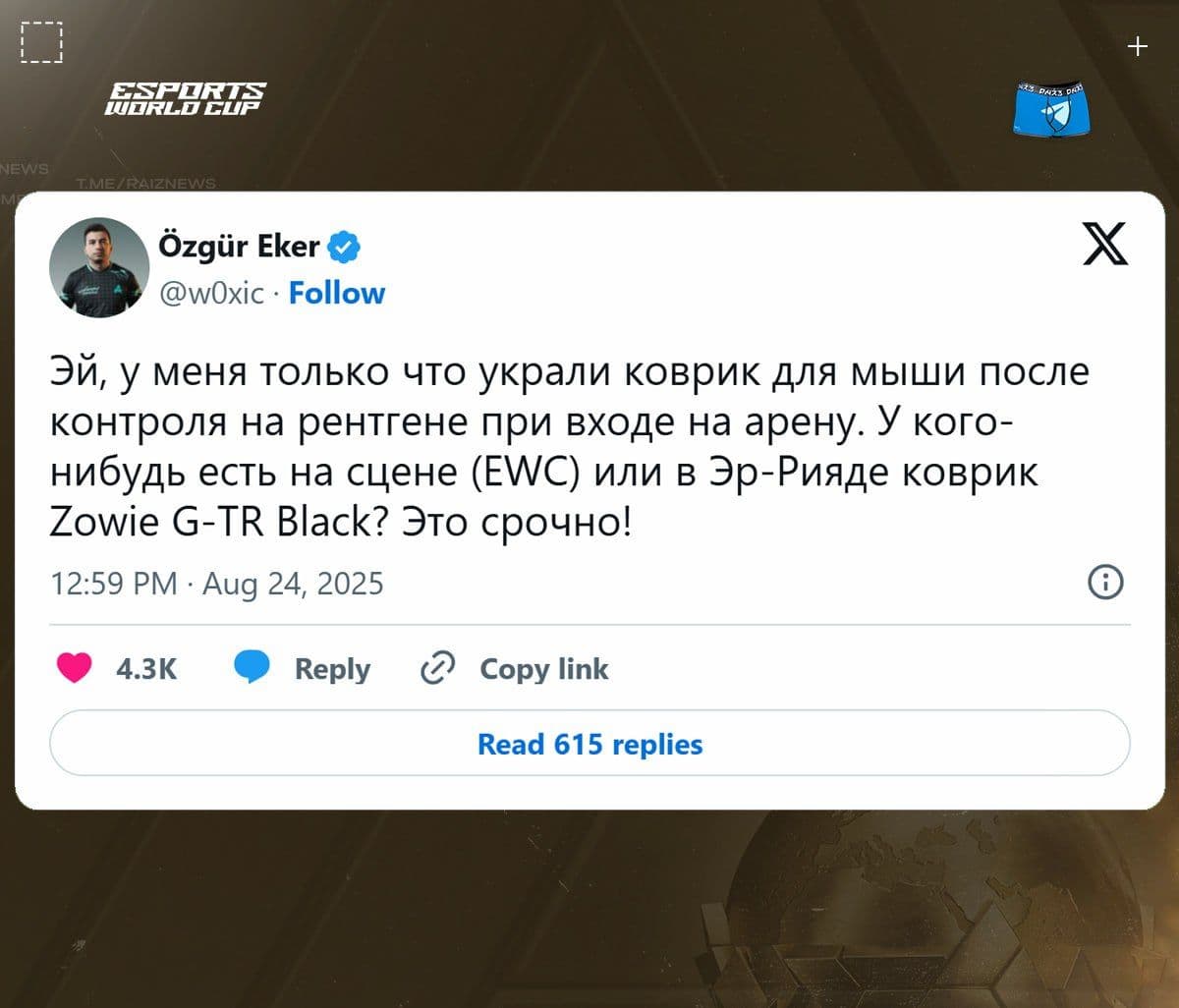 Инцидент на EWC: кража коврика у финалиста приводит к задержке турнира