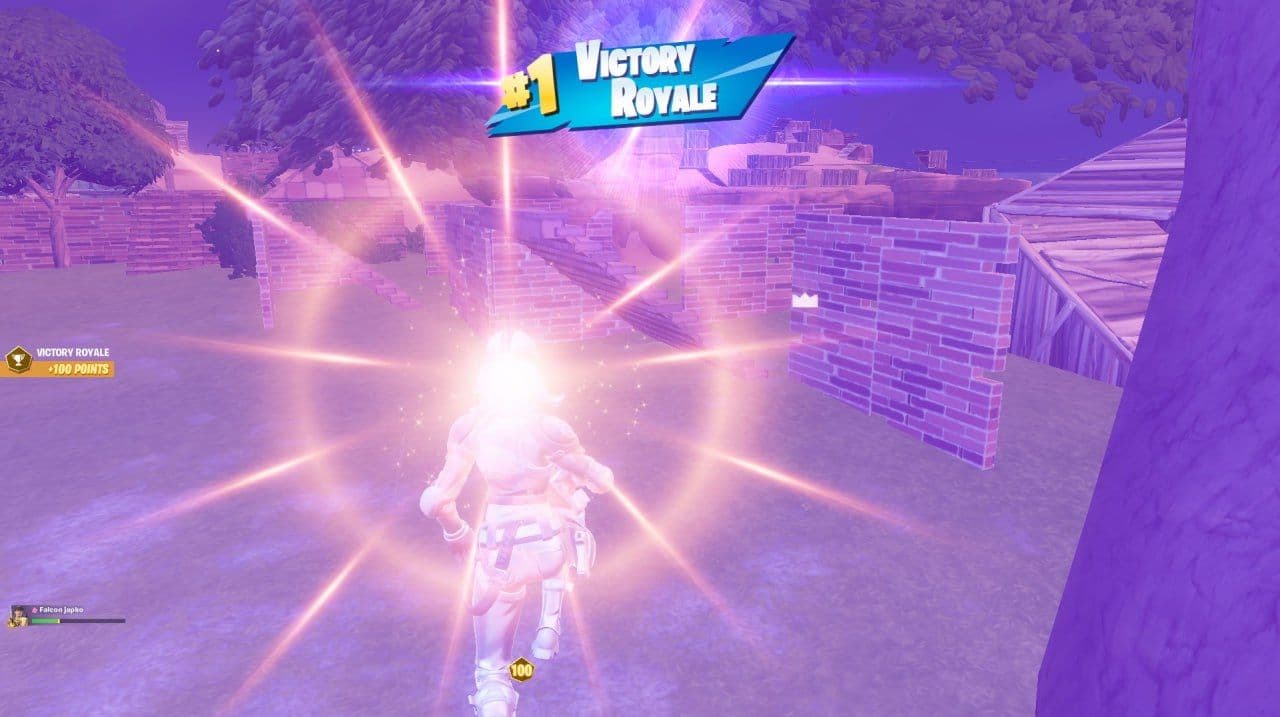 Panzer и Japko побеждают на Duo Performance Cup Finals в Fortnite и забирают приз в $800